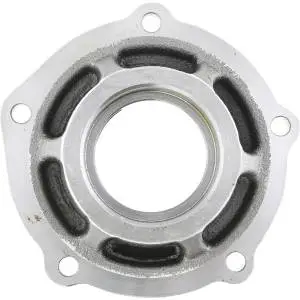 Differential Pinion Support